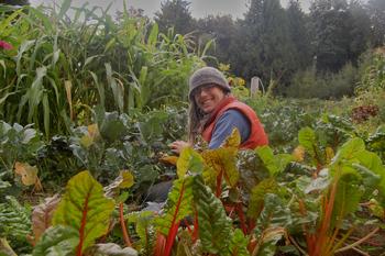 Jenny harvesting in the garden